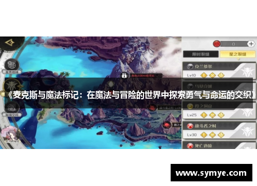《麦克斯与魔法标记：在魔法与冒险的世界中探索勇气与命运的交织》